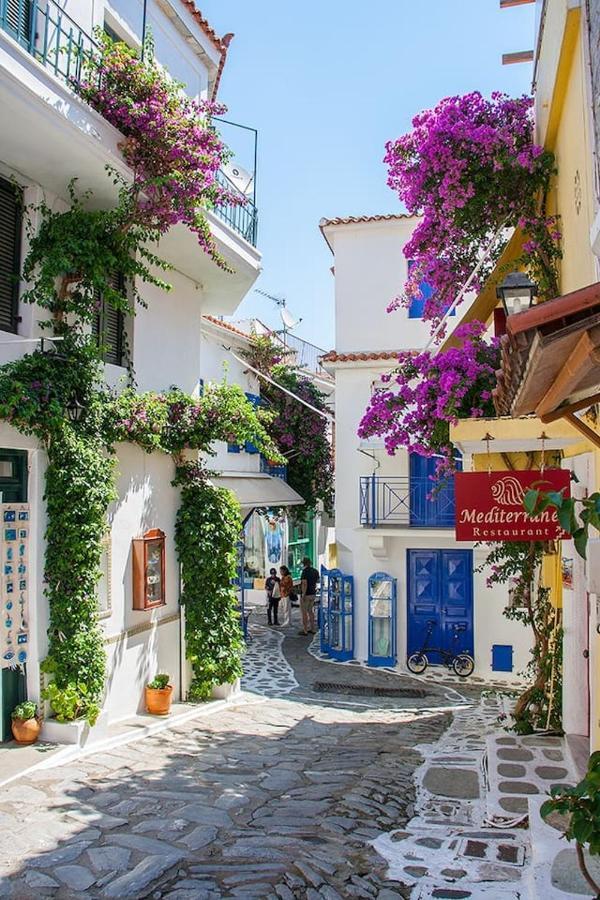 Villa Mikri Gonia Skiathos-Stadt Exterior foto
